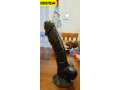 remote-control-dildos-with-belt-toy-in-mingora-03005788344-small-1