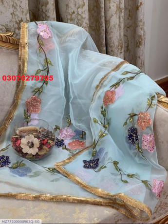 1-pc-womens-stitched-dupatta-in-gujranwala-03070279795-big-2