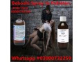 chloroform-spray-price-in-pakistan-03000732259-4500-small-0